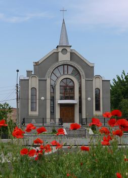 Flowerbed with blossoming red poppies against the background of the entrance to the church