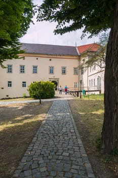 a mighty tree near a stone walkway and tourists coming to the building