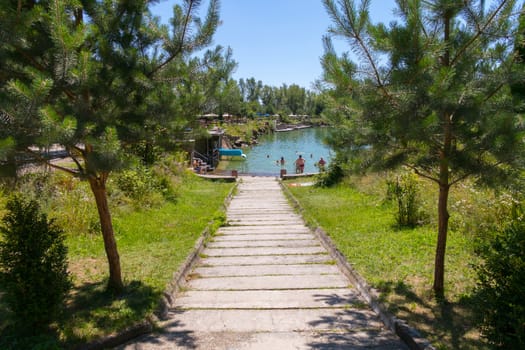 Down between the coniferous trees to the pond. The glint of water blinds the eyes