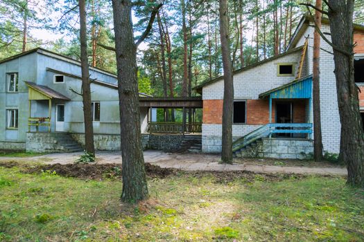 construction of two identical buildings with a terrace at different stages in a pine forest