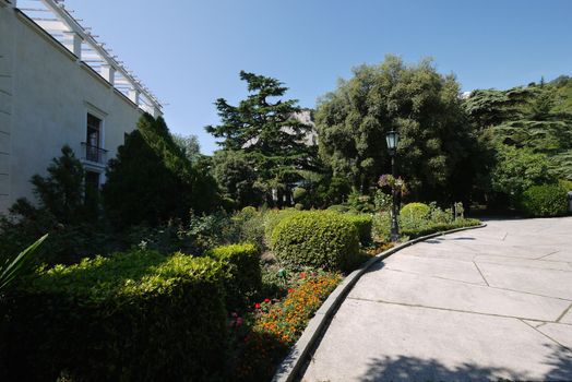 Picturesque green vegetation in the park near the path with designer bushes growing next to them flowers and lush trees.