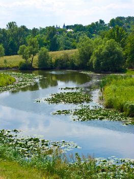 Narrow river strait with a huge number of water lilies and other green vegetation