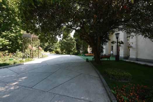 Alley in the park passing next to the building with a colorful flower bed and sitting on a bench in the shade of a large tree.