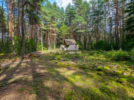 brick building on a lawn in a pine forest on a clear, sunny day