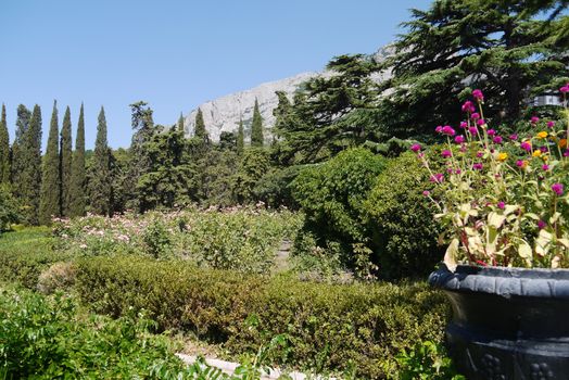 A stone vase with flowers and many ornamental bushes and trees against the backdrop of a huge rocky mountain