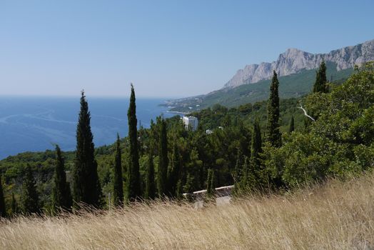 a magnificent landscape with a grassy slope on the sea and a mountain range ridge with greenery of trees growing at the bottom