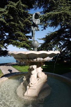 fountain hiding under the green firs with a sculpture of a boy holding a dolphin