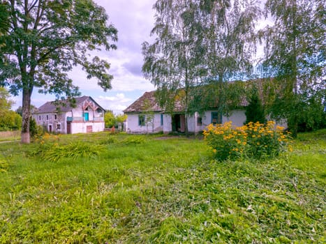 Old buildings in the countryside with a slate roof overgrown with moss with a yard with green grass and a bush of yellow beautiful flowers.