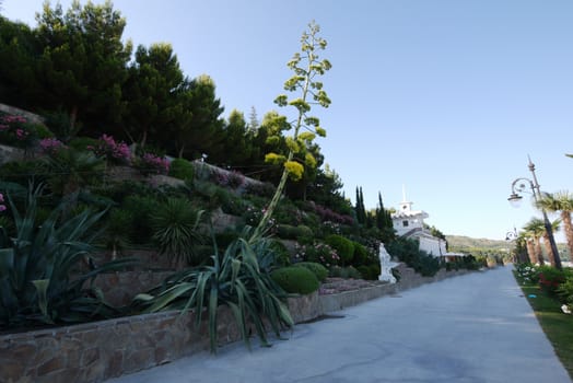 A promenade with a huge number of decorative flower beds and tall exotic palms