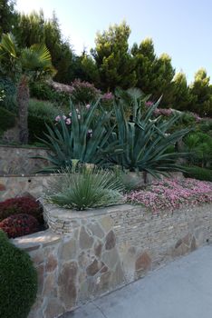 a flower bed on stone cascades of flowering and exotic leafy plants