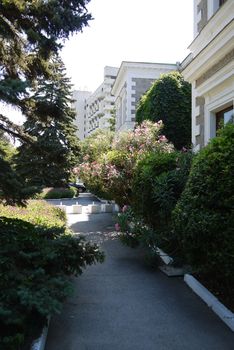 The path around the building goes through flowering, green bushes