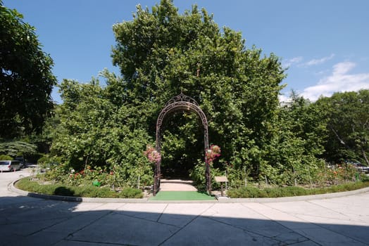 Entrance to the green zone of the park with growing trees and bushes in through a metal arch with a visor of handwork.