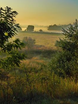 beautiful flood meadows covered with haze of mist and rays of the rising sun