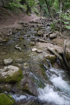 The forest source in which many branches floats falls into another pond