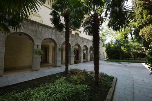 Large decorative flower beds with small flowers and huge palm trees