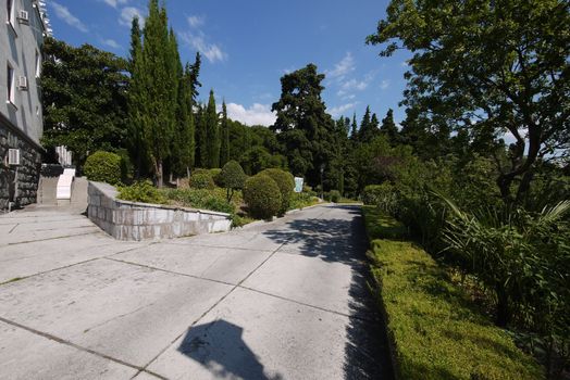 The path in the park is paved of large slabs with beautiful green vegetation around an excellent place for walking and relaxing.