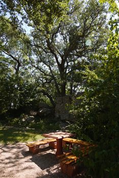 wooden lacquered table with benches in the park under the shade of trees. A place for walks and rest