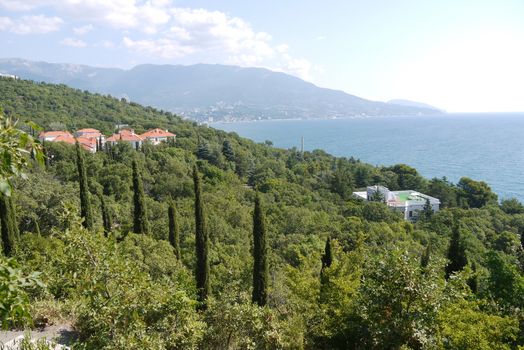 Green, tall trees prchut roofs of houses on the embankment near the blue sea