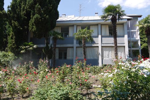 rosary and palm trees in front of a two-story building with white curtains