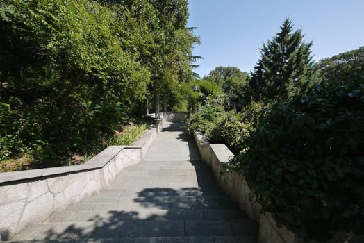 Stepped descent to the embankment through thickets of different, green bushes