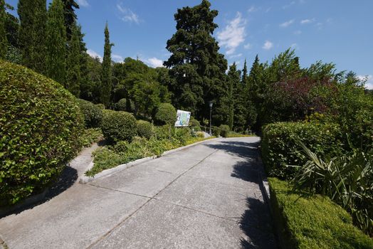 A path lined with plates in a picturesque park with large lush bushes and green trees. A beautiful place for rest and walking.