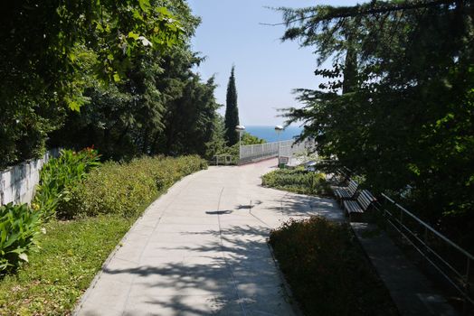 benches for rest standing in the shade of trees along the path leading to the bridge overlooking the sea