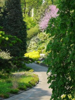 Park promenade alley on the background of colorful ornamental plants and flowers