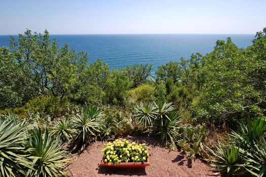 flower beds with cactuses and a flowerpot with flowers on the slope and below splashes an endless blue sea