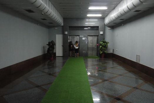 A few guests are expecting an elevator with a spacious hall with a marble floor and a green carpet on it