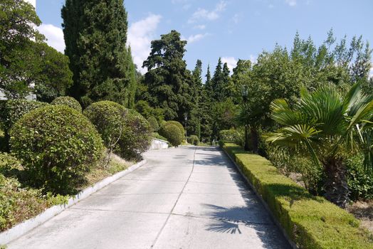 the path in the park is paved with plates with a lawn along it cut in different style