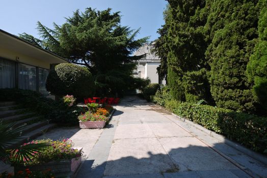 A wide path with curbs with lush greenery on the sides with flowers in the flower beds on one side and a clipped shrub with tall trees on the other.