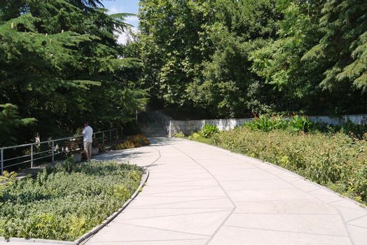 A wide walking alley with flower beds on each side in a cozy park area