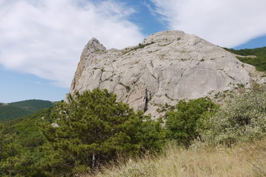 Pine over dry grass at the foot of a rocky spire rock against a blue sky background