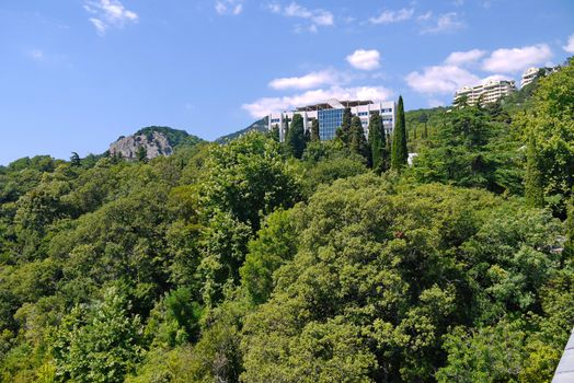 High variety of bushes and trees hide several multi-storey houses