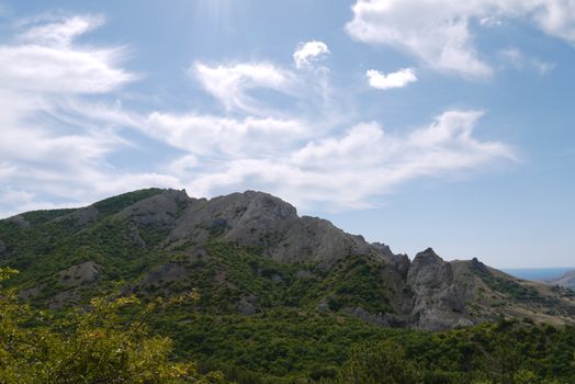 a rocky top of a mountain covered with bushes that covers a blue sea