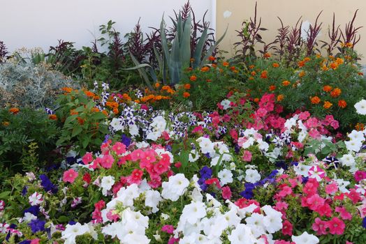 Amazing flower bed with flowers of all colors of the rainbow