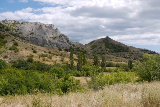 Small bushes and tall green trees against the backdrop of high rocky mountains