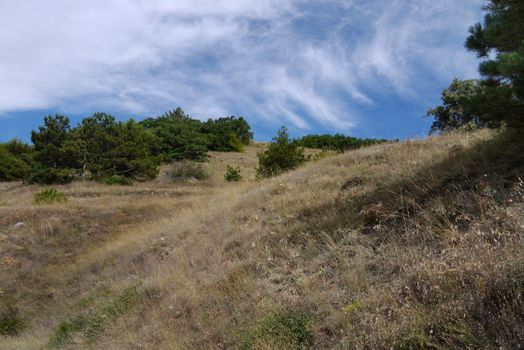 blue sky with blurred clouds over dry grass on a hill