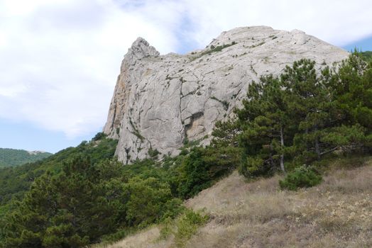 Mountain slopes overgrown with green firs and a lonely rock among them