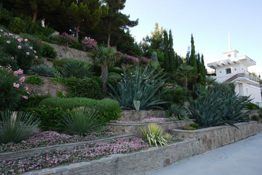 Beautiful cascading flower bed with a variety of green decorative plants, shrubs and palm trees