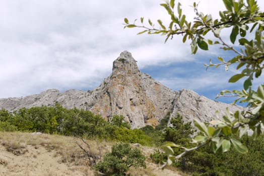 A shallow forest glade against the backdrop of a rocky mountain top