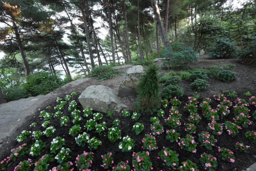 Decorative flowerbed with small flowers, stone boulders and coniferous tree in the center on a slope...