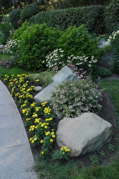 Picturesque green bushes in the park next to the growing flowers of various colors strewn among them.