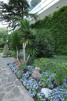 Flowerbed with small flowers, flower beds and ornamental plants near the building of the health complex