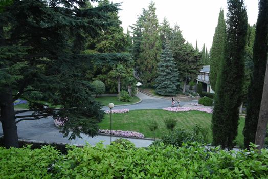 beautiful view from a slope in the park to the surrounding vegetation and resting standing next to the flower bed with flowers