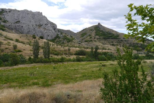 A green glade with trees against the background of two high rocky mountains