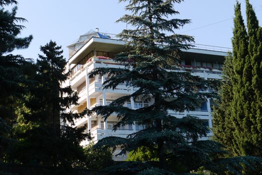 The tall building of the hotel is seen between the fir trees growing next to it. With balconies and flowerpots with flowers on the top floor.
