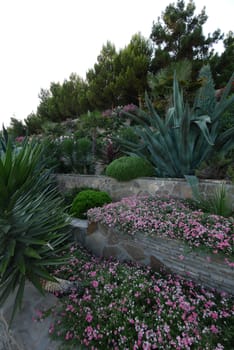 A flower bed in the form of steps on each of which grow different flowers