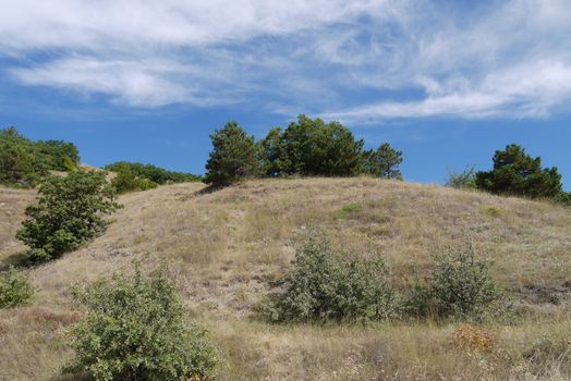 Landscape of a summer day with a low hill with burnt grass and rare green bushes against the background of a blue sky covered with a transparent veil of clouds.