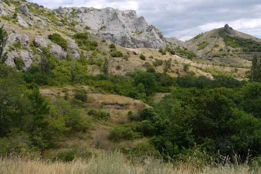 The area below the small mountain is covered with a rare bushes and stunted trees. With large boulders lying on the slopes